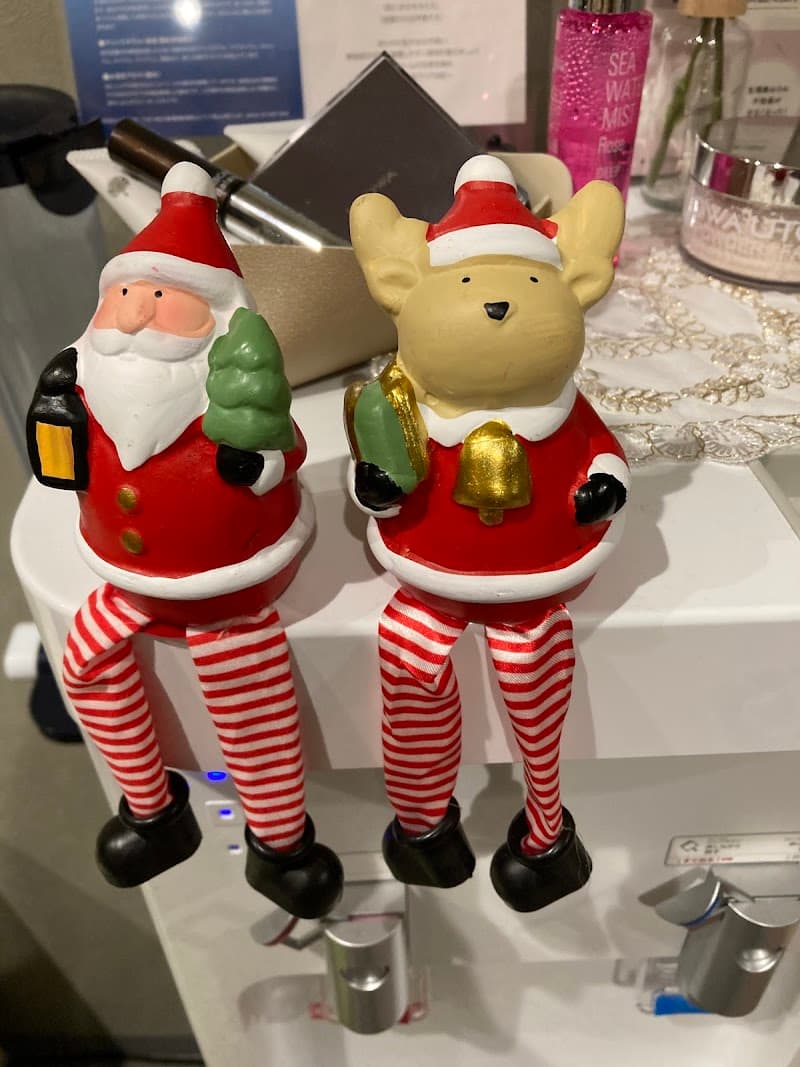 Juell Facial & Body Lymph Massage Salon Naka Ward, Nagoya photo