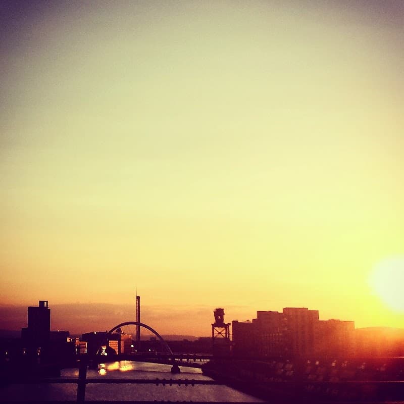 Julie's Natural Health Pigeon photo