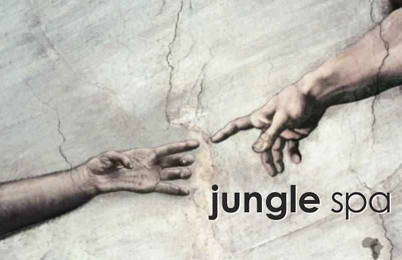 Jungle Spa Quận Hải Châu photo