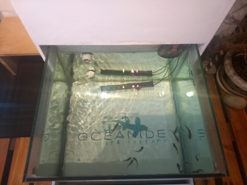 Kalash Fish Spa Benito Juárez photo