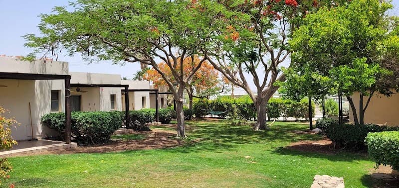 Kalia Kibbutz Hotel Dead Sea photo