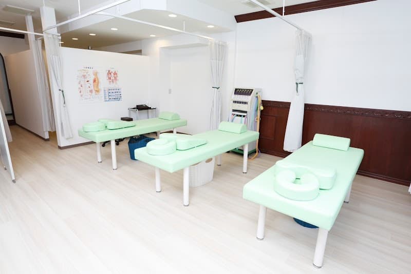 Kameari Low Back Pain Specialty Chiropractic Clinic ken Katsushika Ward photo