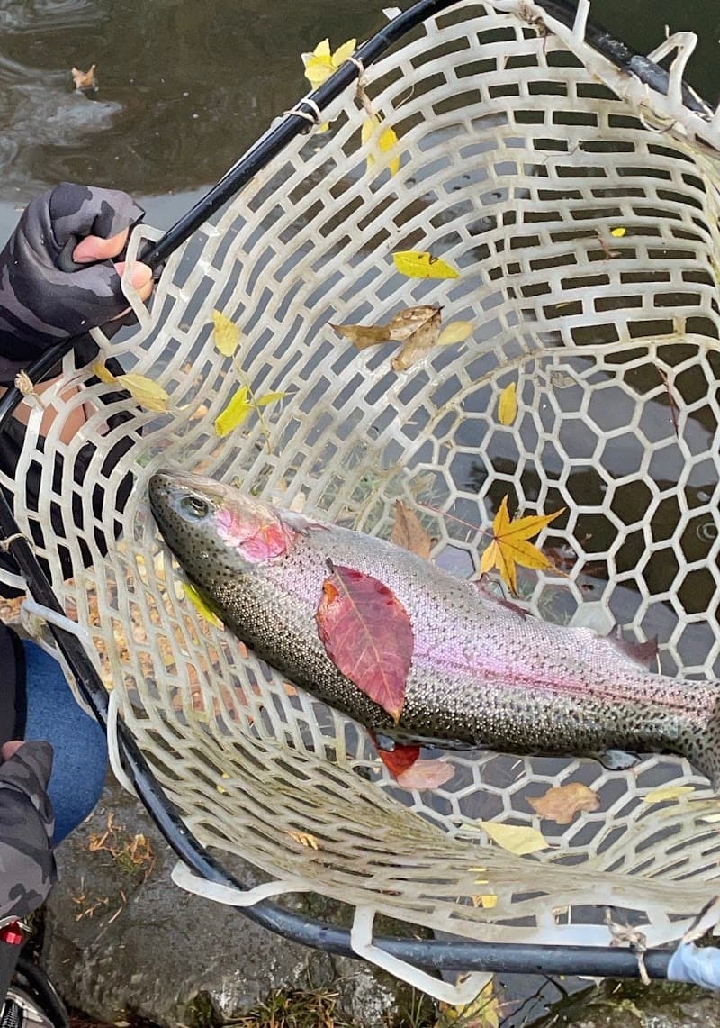 Kaneman Fishing Pond Center Numata photo