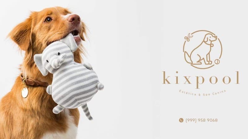 Karbie Pet Spa & Boutique Mérida photo