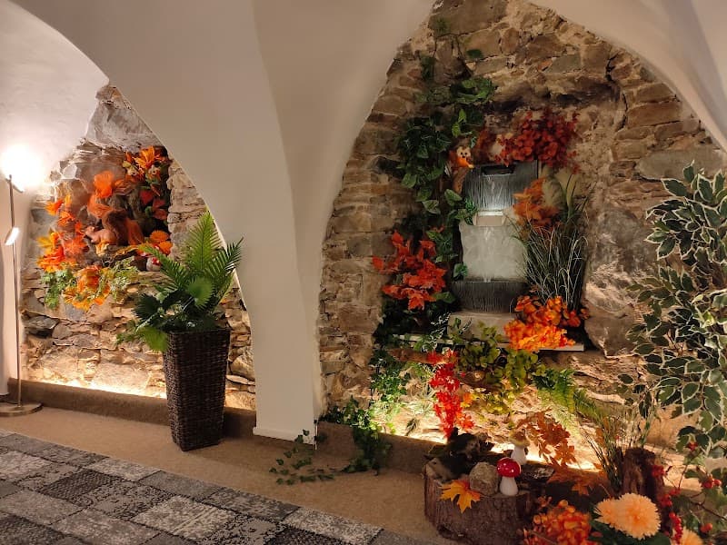 Karel Josef Pospichal Waidhofen an der Thaya photo