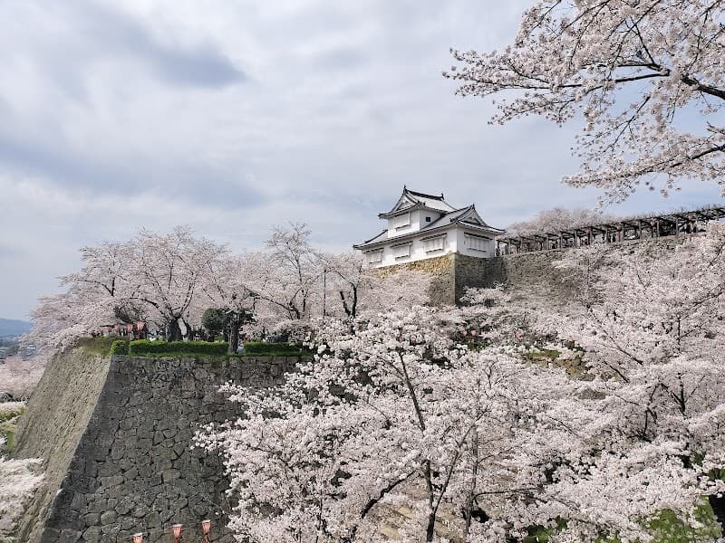 Karuvāta Tsuyama City photo
