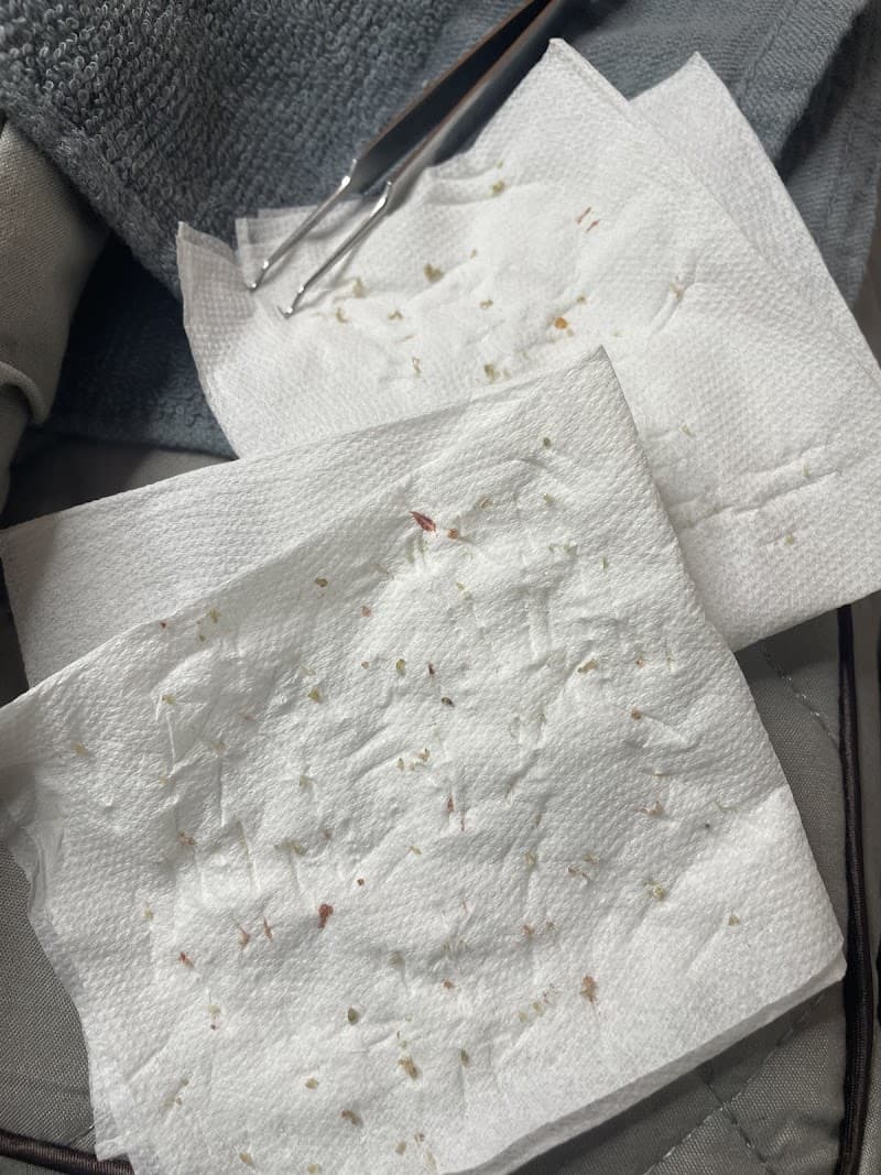 Kate Skincare Studio Taichung City photo