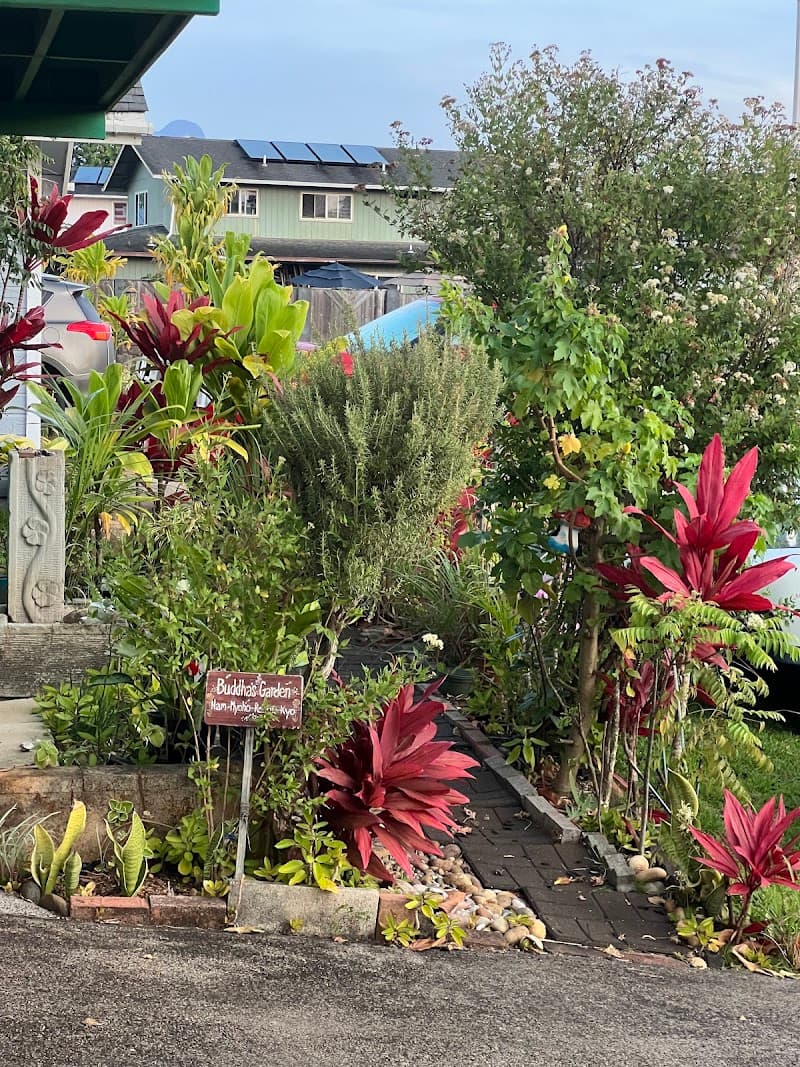 Kauai reflexology center Lihue photo