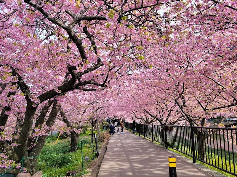 Kawazu Saburo Ashiyu Place Kamo District, Kawazu Town photo