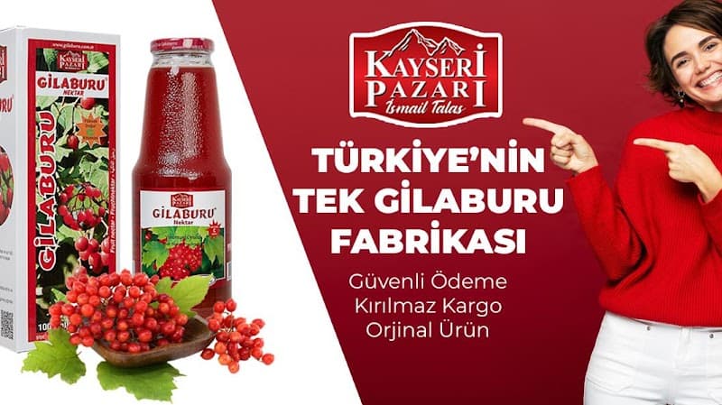 Kayseri Pazarı Gilaburu Maltepe photo