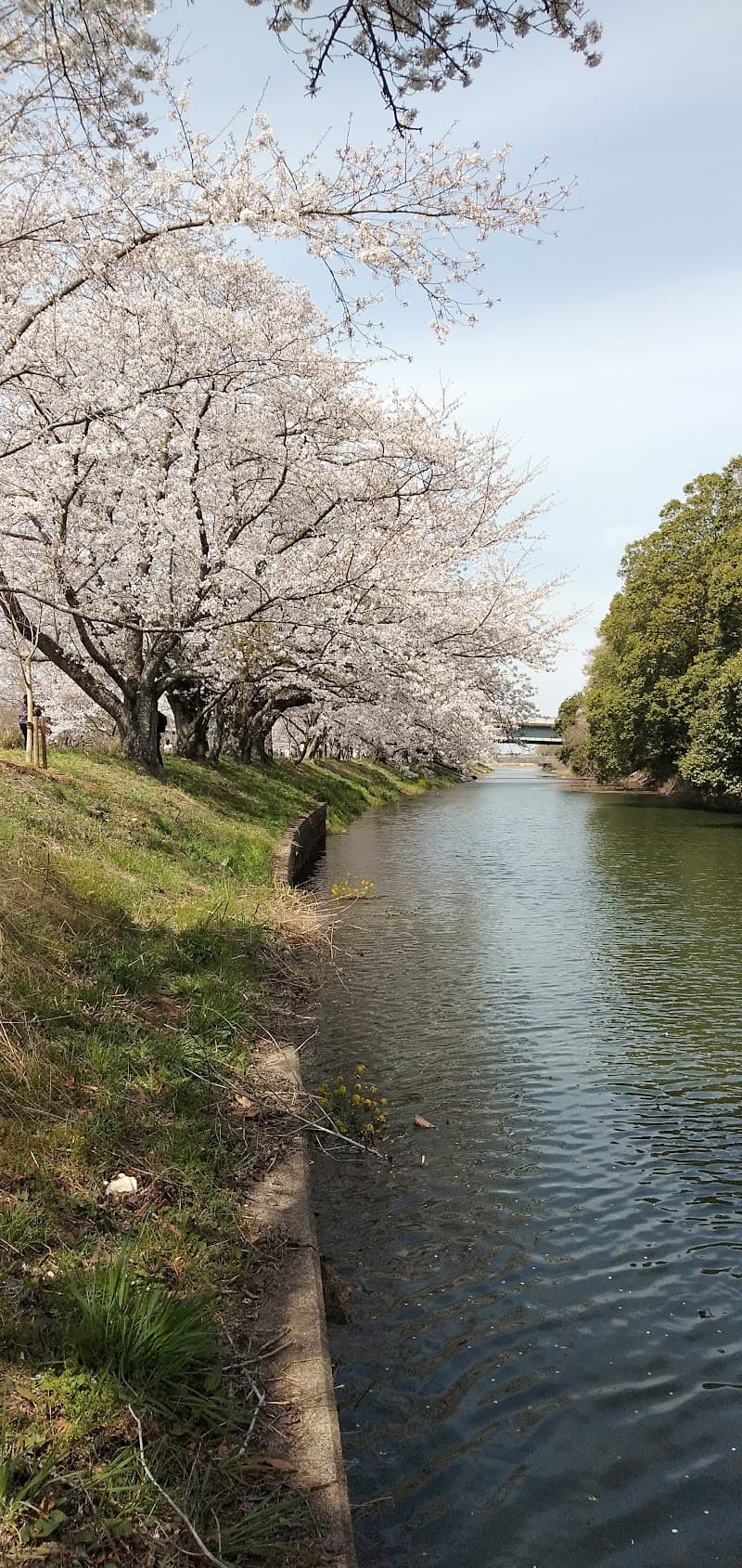 Kenbikan Mirai Tsukubamirai City photo