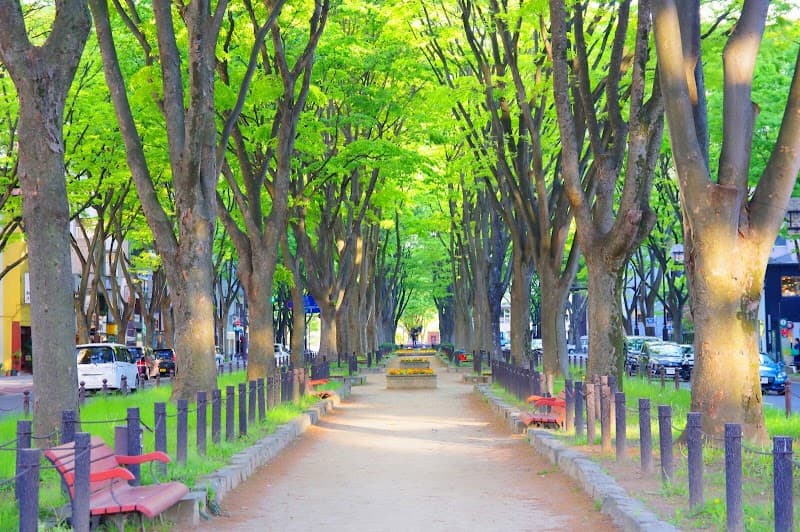 Kenko Ichibankan Jozenji-dori Sendai Aoba Ward photo