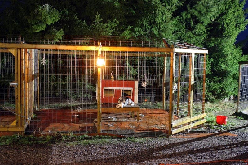 Kennel Touhutytön Turku photo