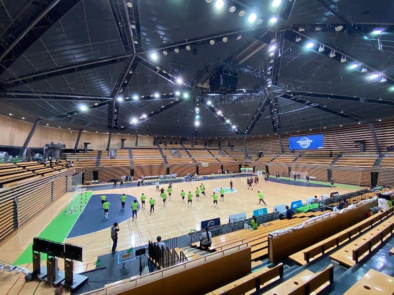 Kenyukan Omata Seitai Ryojutsu-in Ota City photo