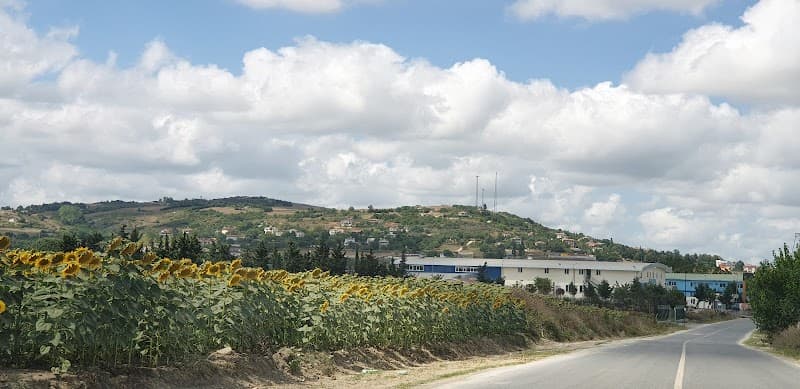 Kestanelık catalcaistanbul Küçükçekmece photo