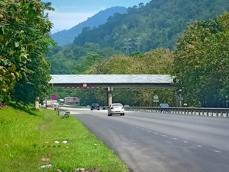 Chenderiang kg kinjang tapah photo
