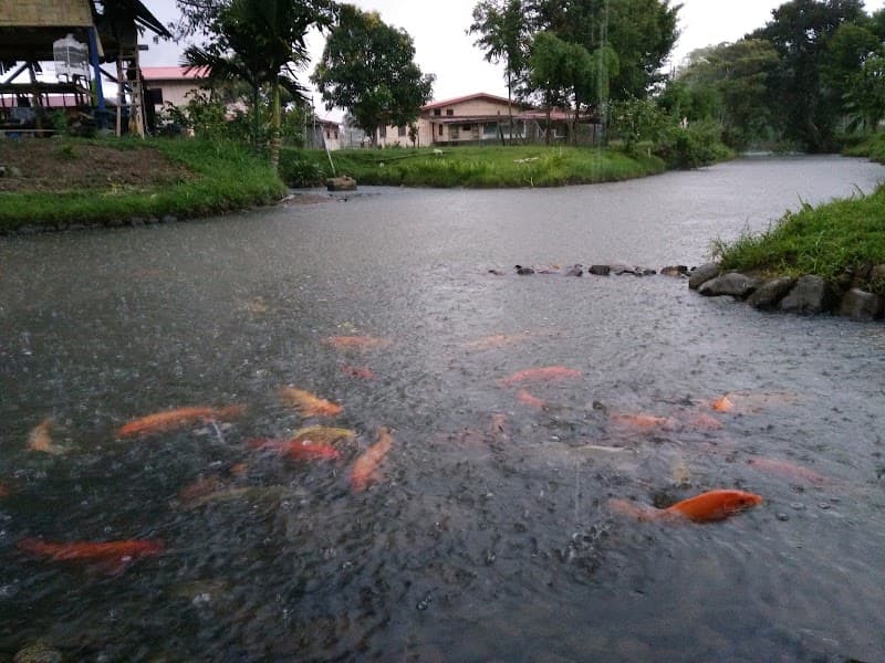 Kg.marakau,ranau Ranau photo