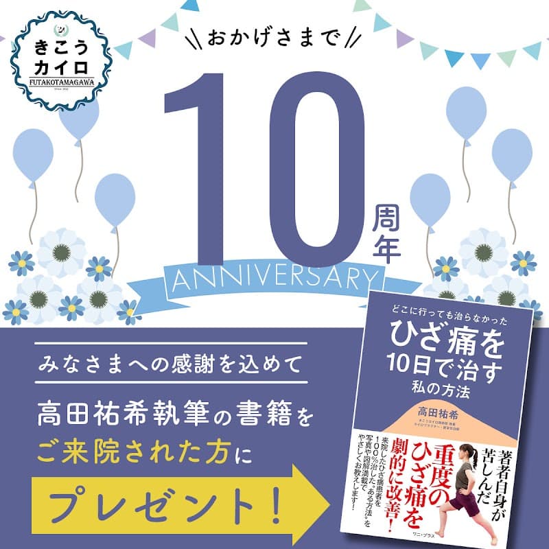 Kikou Chiropractic Clinic Setagaya Ward photo