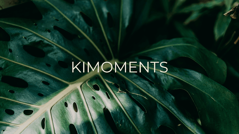 Kimoments Lisboa photo