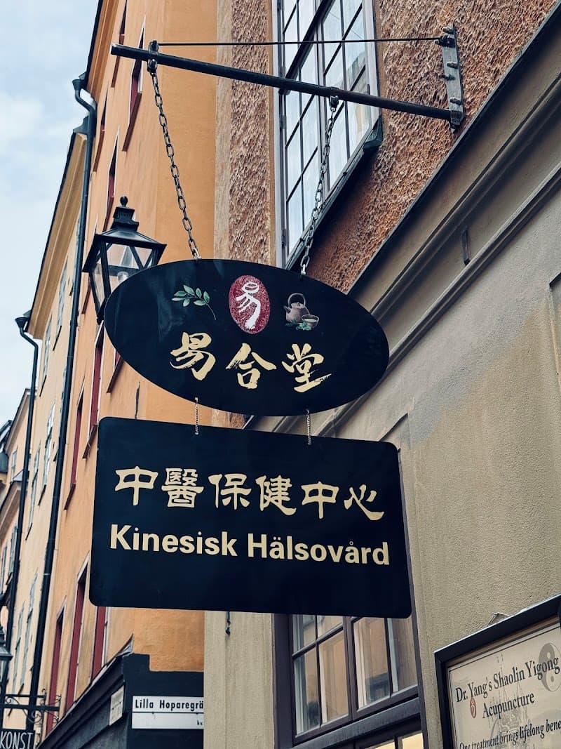 Kina Hälsan Stockholm photo