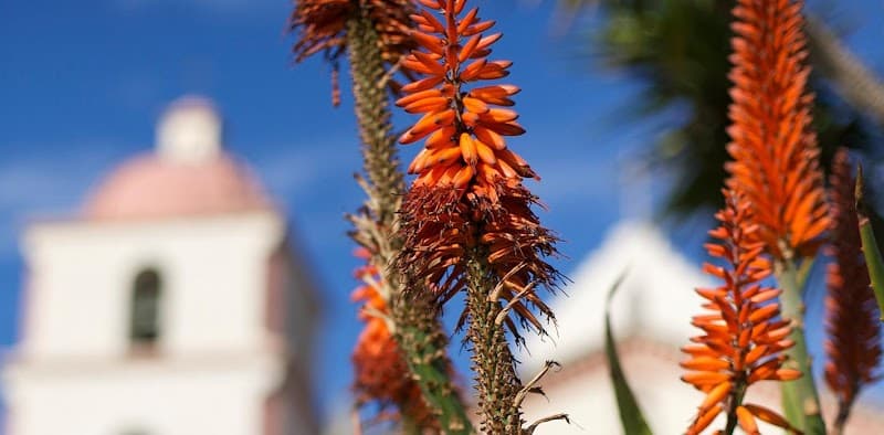 Kind Dermatology & Medical Spa Santa Barbara photo