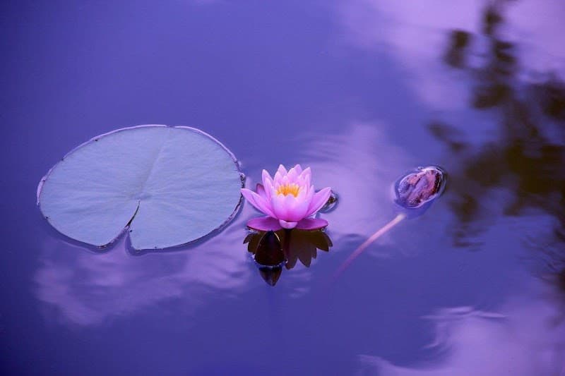 Kind Thai Massage Uxbridge photo