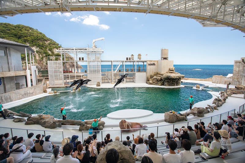 Kinosaki Marine World photo