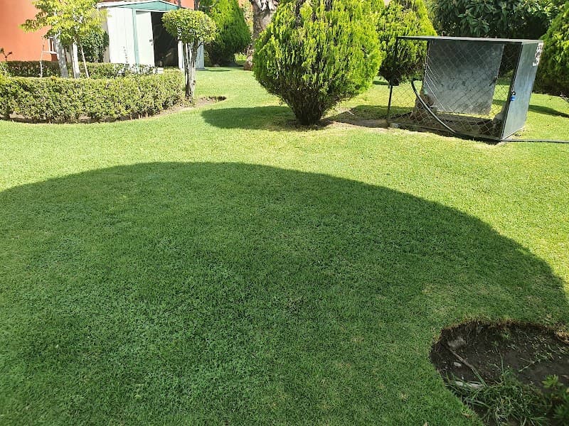 KINY spa Arandas photo