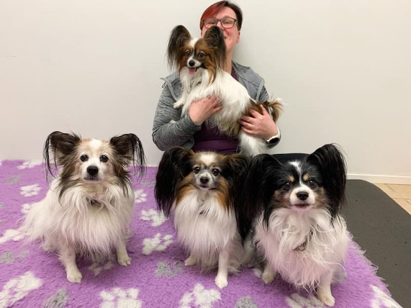 Kirsin KoirahierontaHub Siilinjärvi photo