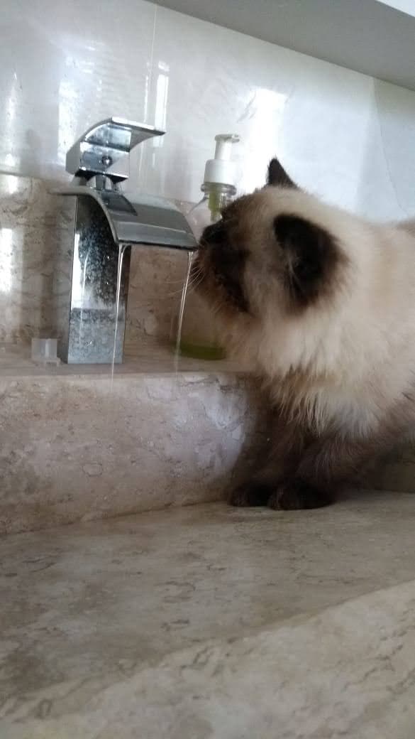 Kitty Ivoti photo
