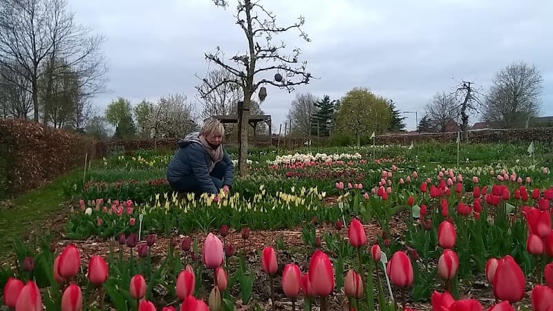 Kleur je dag Sint-Niklaas photo