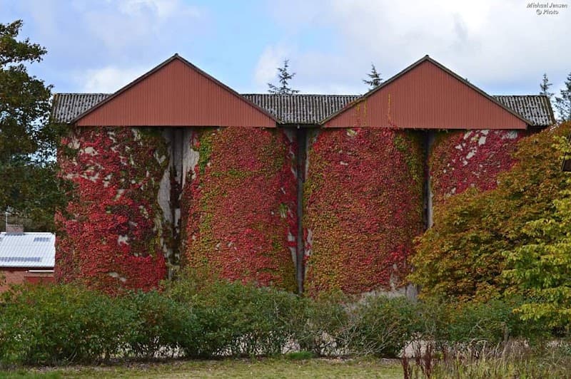Klinikken på Filsøgård Henne photo