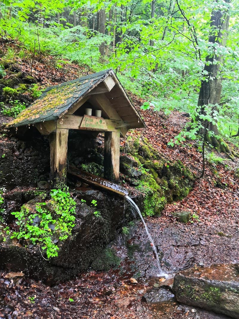 Kneipovy lázně Roztoky photo