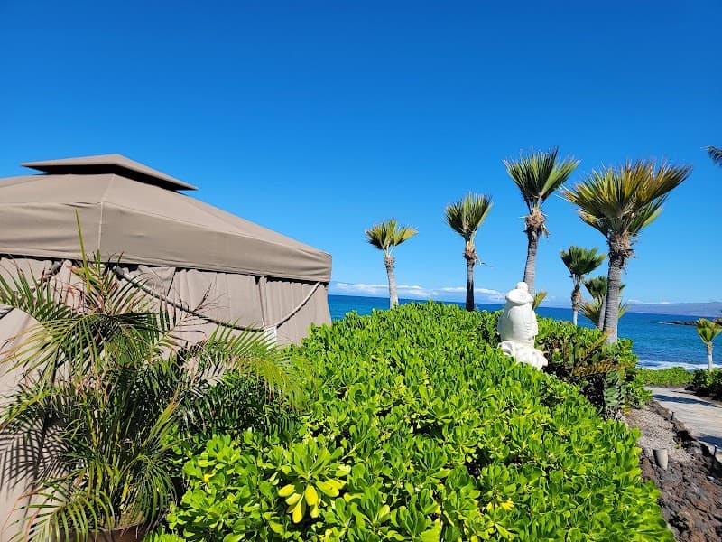 Kohala Spa Waikoloa photo