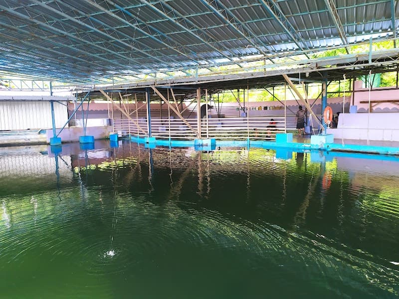 Kolam Renang Marin ARM Gadong photo