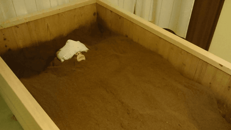 Komenuka Koso Toyohashi Store photo