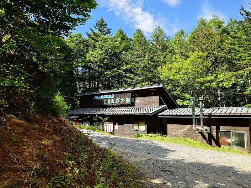 Komorebi no Yu Otaki Village, Kiso District photo