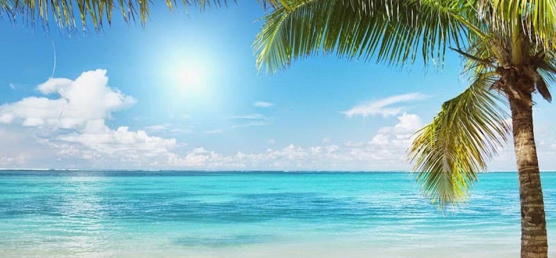 Kona Oasis Spa Buffalo photo