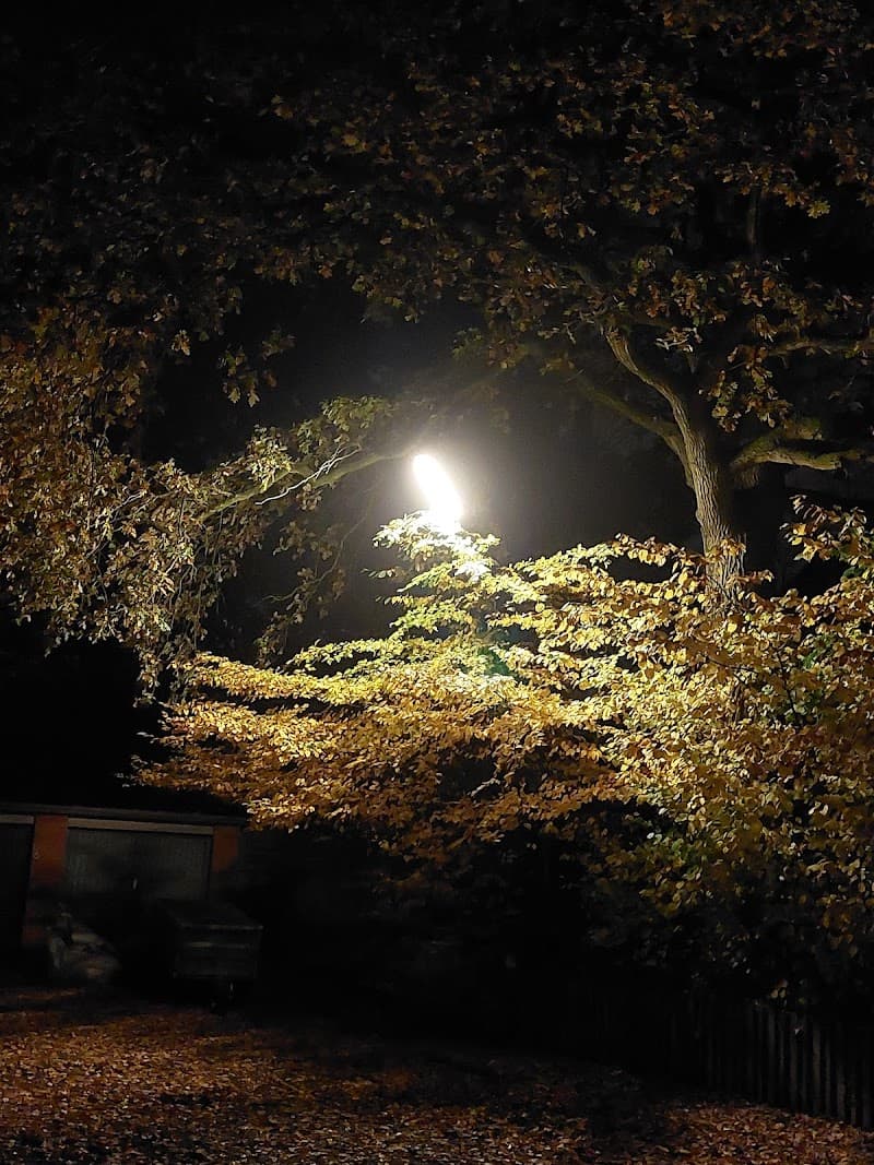 Kosmetik Henstedt-Ulzburg - Hajnal Szöke photo