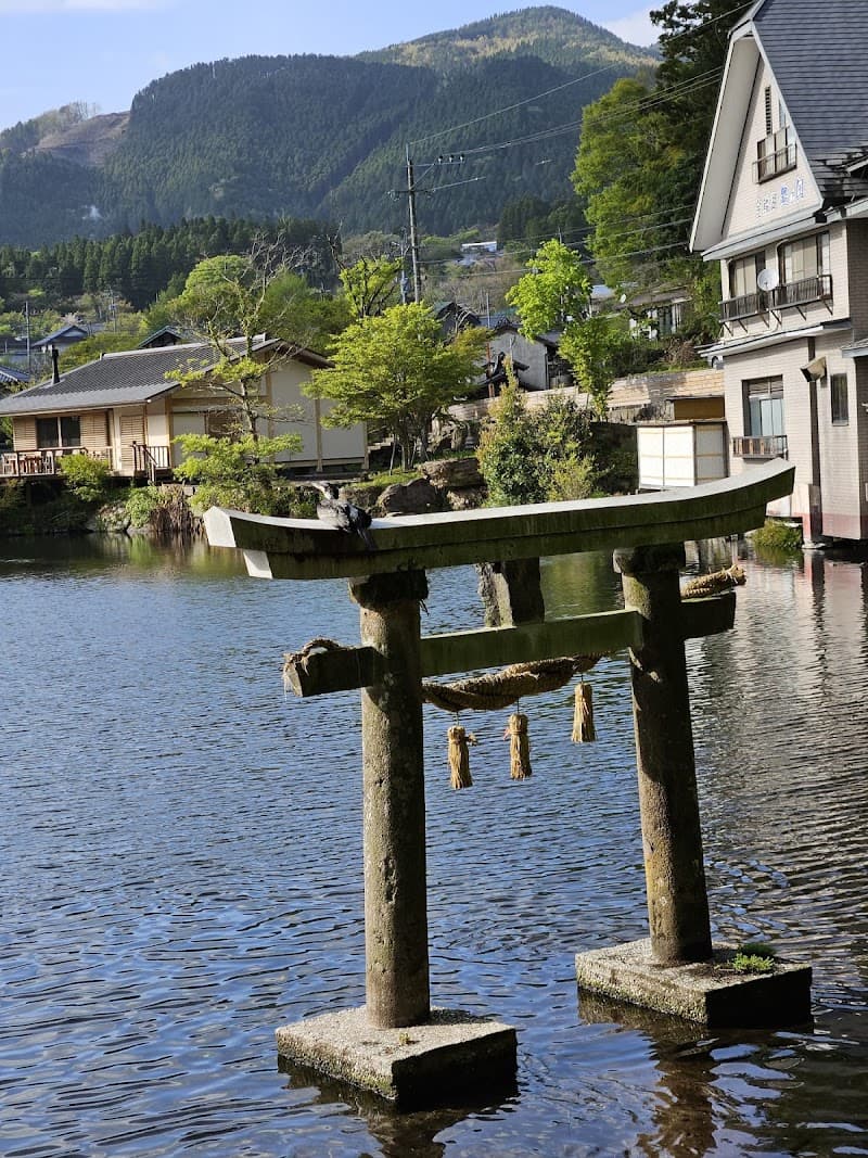 Koto no Hanagokoro Yufu City photo