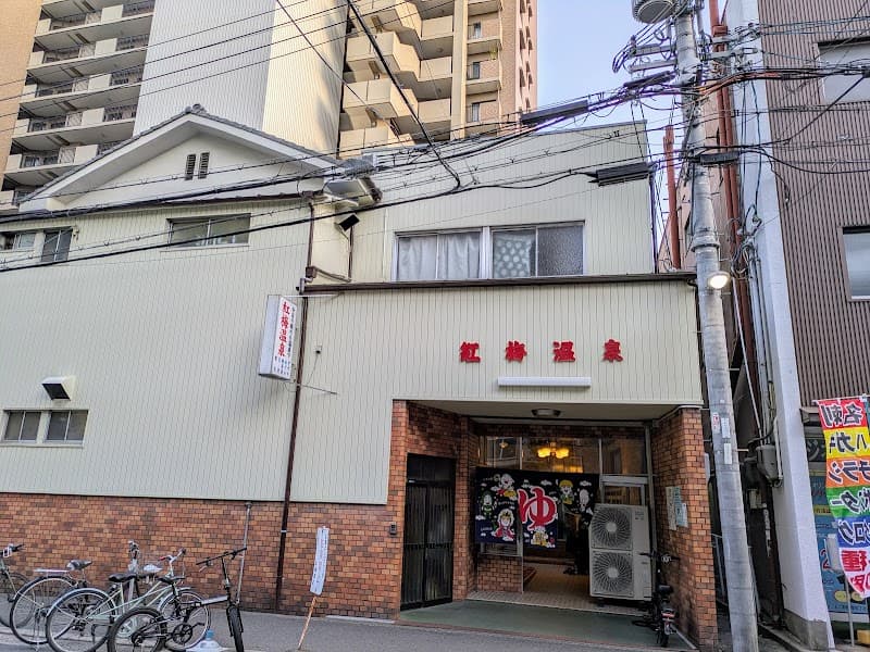 Koubai Onsen Kita Ward, Osaka photo