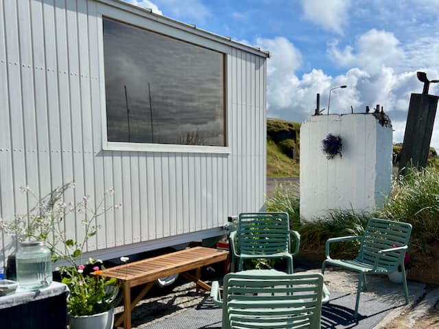 Kría fargufa Reykjavíkurborg photo