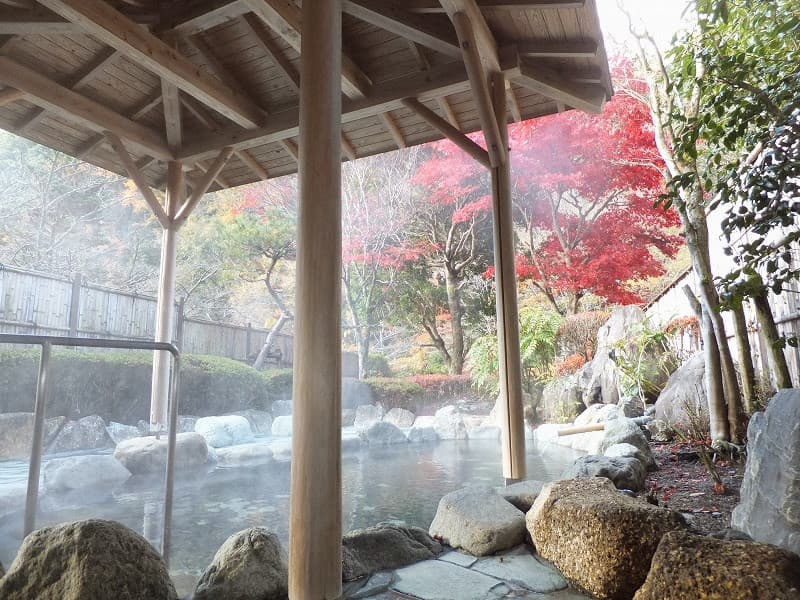 Kuchisakamoto Onsen Bathhouse Aoi Ward, Shizuoka photo