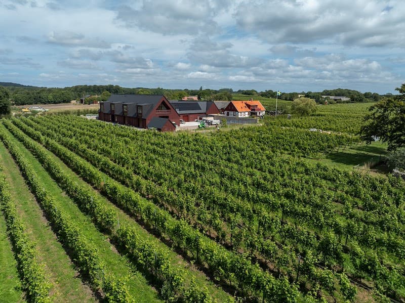 Kullahalvöns Vingård Nyhamnsläge photo