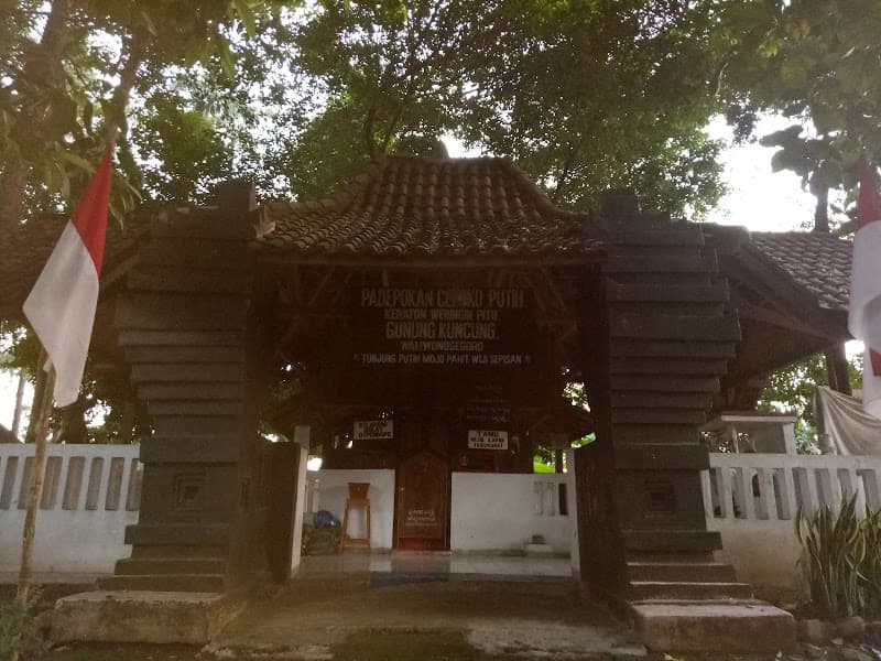 Kuncung-Jombang photo