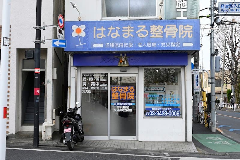 Kyodo Hanamaru Osteopathic Clinic Setagaya Ward photo