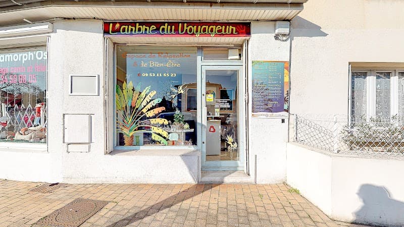 L'Arbre du Voyageur Tournefeuille photo