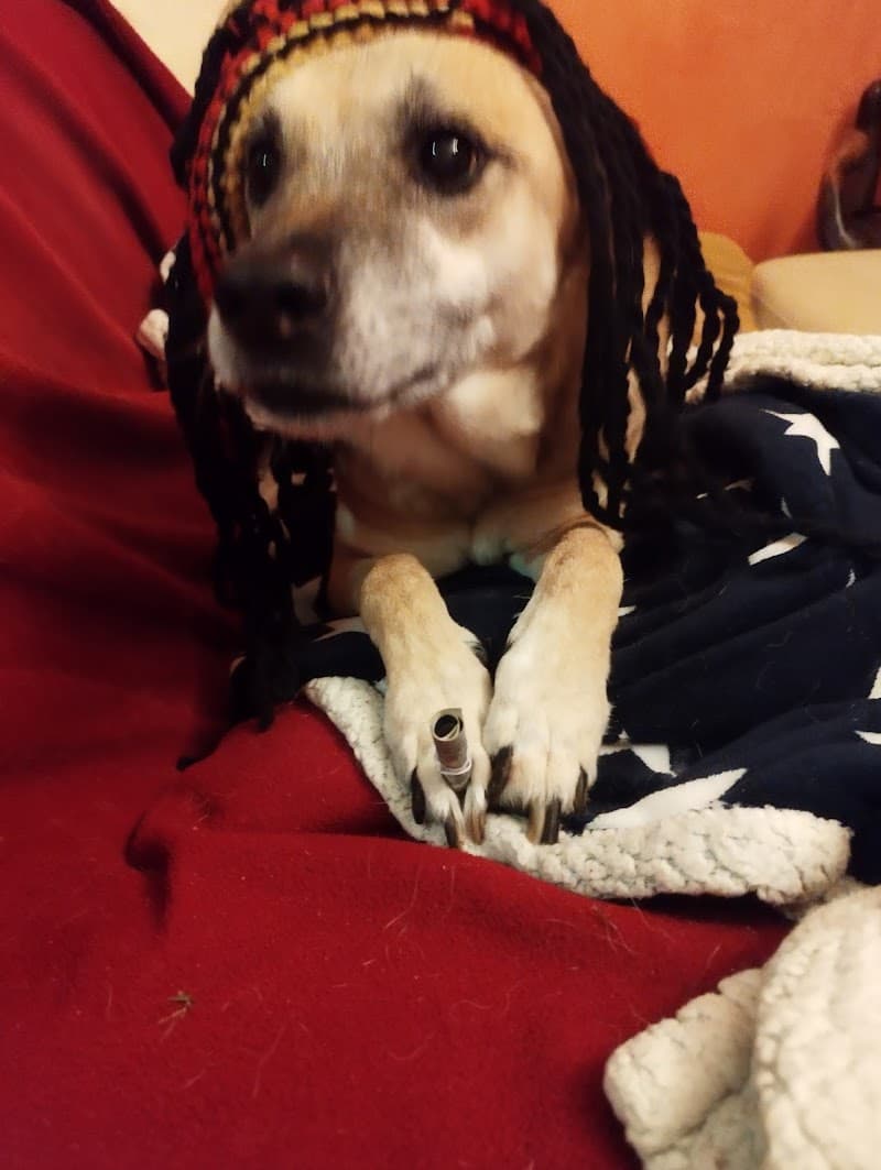 L'Arte della Bellezza - Cerlongo di Goito photo