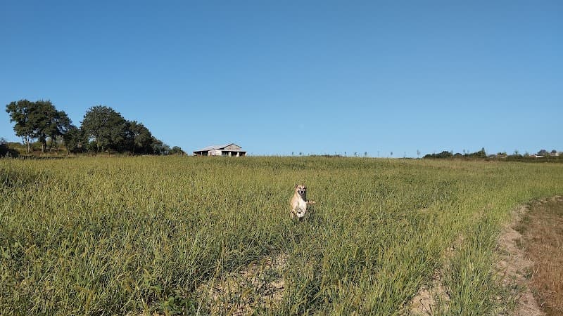 L'Atelier Corps et Art Saint-Martin-de-Gurson photo