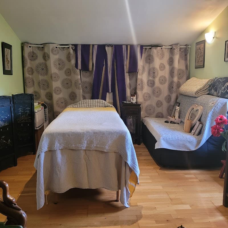 L'Hêtre-Soie Le Porge photo